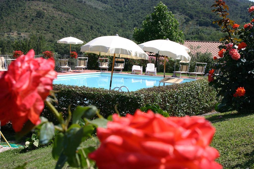 Agriturismo Cortoreggio Cortona Dış mekan fotoğraf
