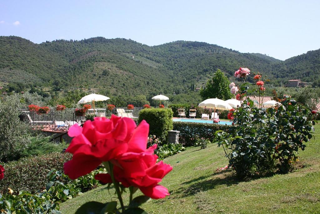 Agriturismo Cortoreggio Cortona Dış mekan fotoğraf