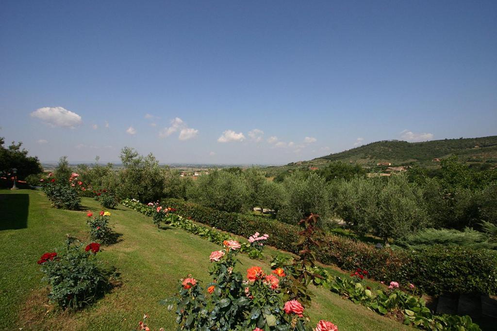 Agriturismo Cortoreggio Cortona Dış mekan fotoğraf