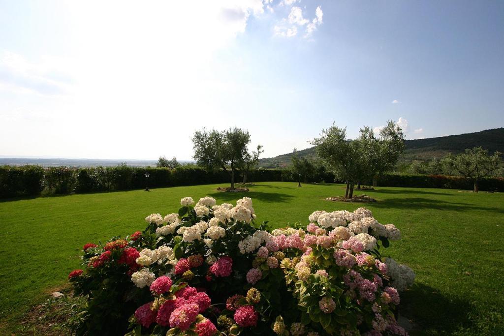 Agriturismo Cortoreggio Cortona Dış mekan fotoğraf