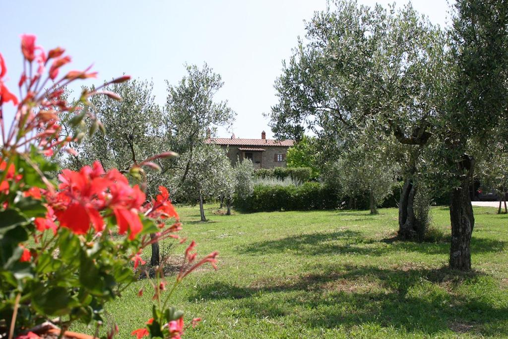 Agriturismo Cortoreggio Cortona Dış mekan fotoğraf