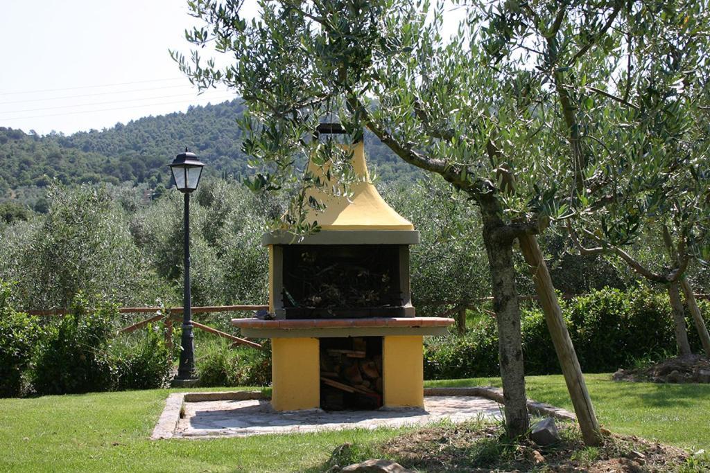 Agriturismo Cortoreggio Cortona Dış mekan fotoğraf