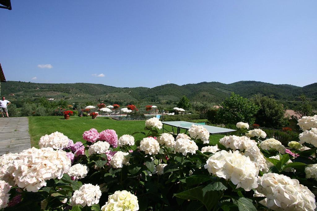 Agriturismo Cortoreggio Cortona Dış mekan fotoğraf