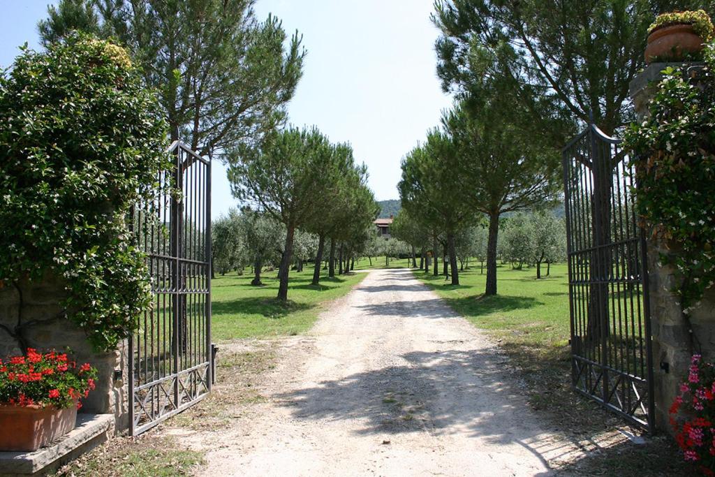Agriturismo Cortoreggio Cortona Dış mekan fotoğraf